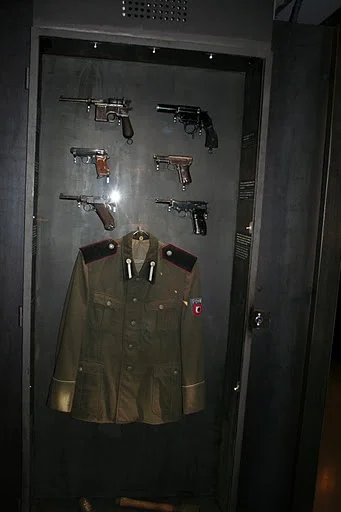 Zdjęcie z galerii